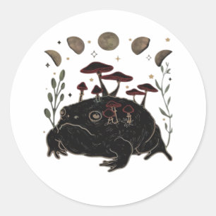 Academia Moon Witchy Goblincore Aesthetic Frog Cla Classic Round Sticker
