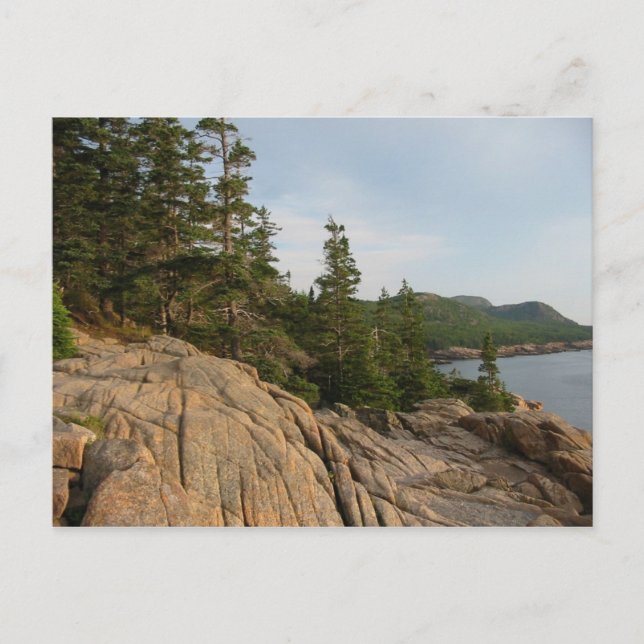 Acadia Coast II Postcard (Front)