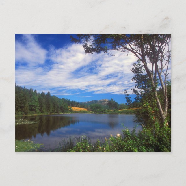 Acadia Long Pond View Postcard (Front)