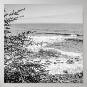 Acadia Maine Coastline Black and White Archival Poster