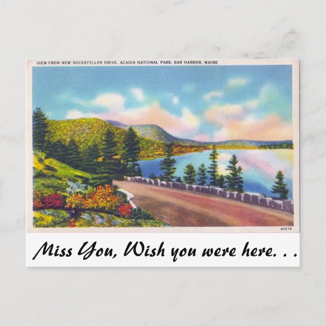 Acadia Nat. Park, Bar Harbour, Maine Postcard (Front)