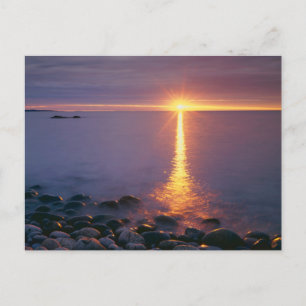 Acadia National Park  Atlantic Ocean Maine Postcard