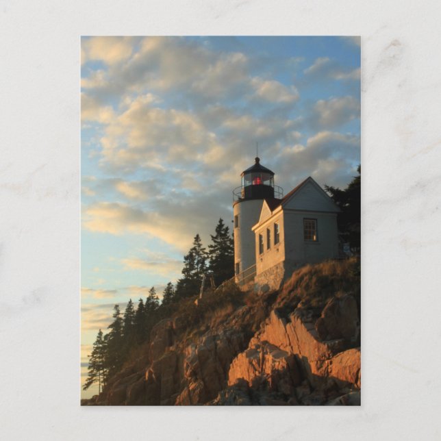 Acadia National Park Bass Harbour Lighthouse Postcard (Front)