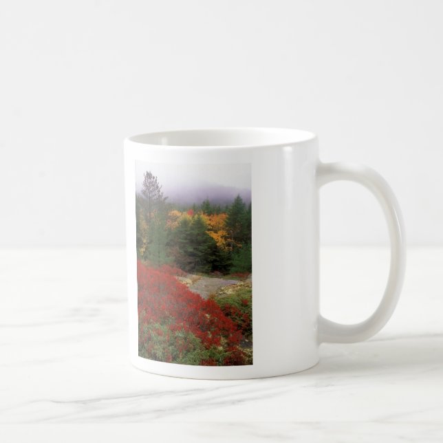 Acadia National Park Foliage Coffee Mug (Right)
