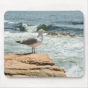 Acadia National Park Maine Coast Seagull Mouse Mat