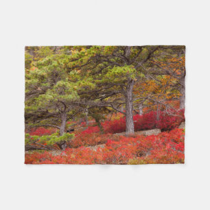 Acadia National Park, Maine Fleece Blanket