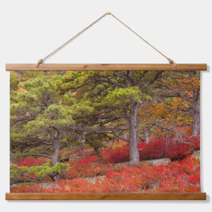 Acadia National Park, Maine Hanging Tapestry