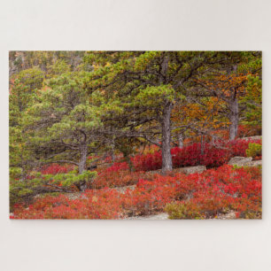Acadia National Park, Maine Jigsaw Puzzle