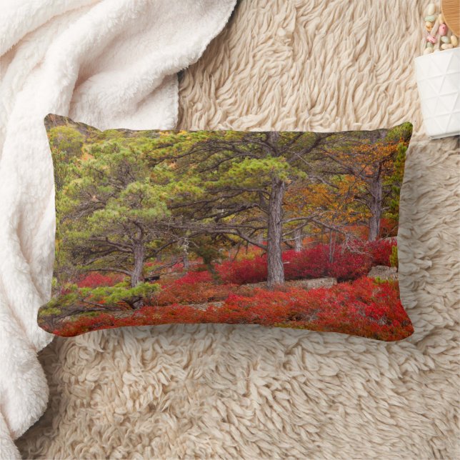 Acadia National Park, Maine Lumbar Cushion (Blanket)