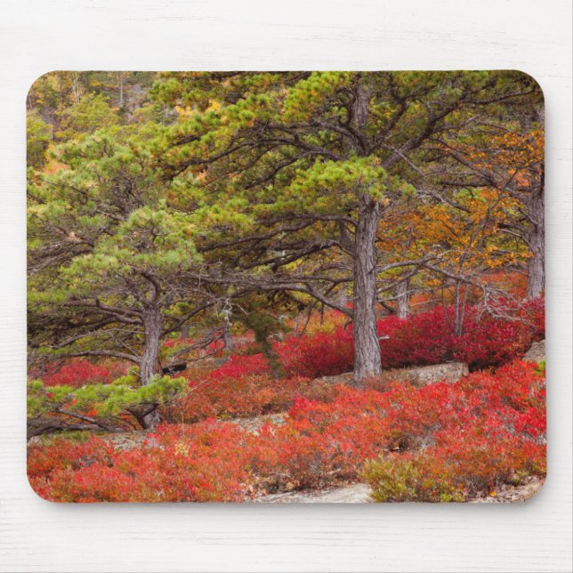 Acadia National Park, Maine Mouse Mat (Front)