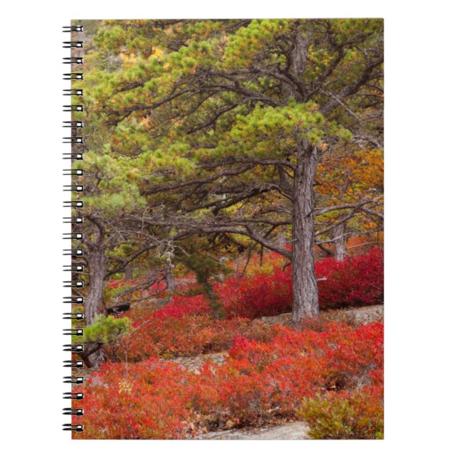 Acadia National Park, Maine Notebook (Front)