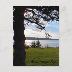 Acadia National Park, Maine Postcard