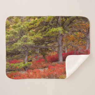 Acadia National Park, Maine Sherpa Blanket