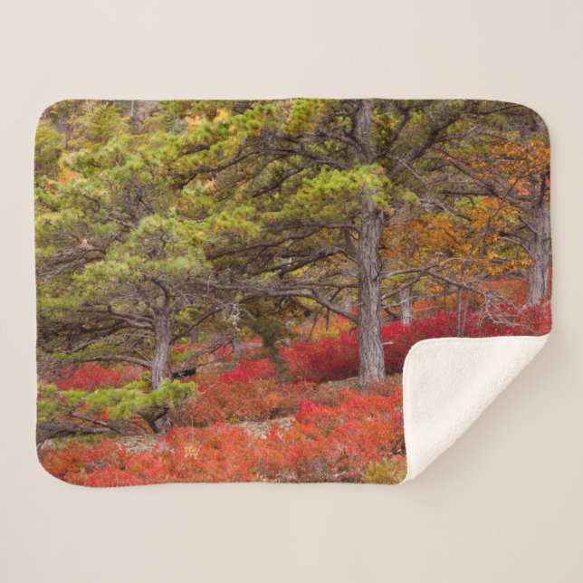 Acadia National Park, Maine Sherpa Blanket (Front (Horizontal))