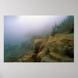 Acadia National Park Otter Cliffs Poster