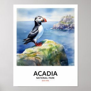 Acadia National Park - Perched Puffin Poster