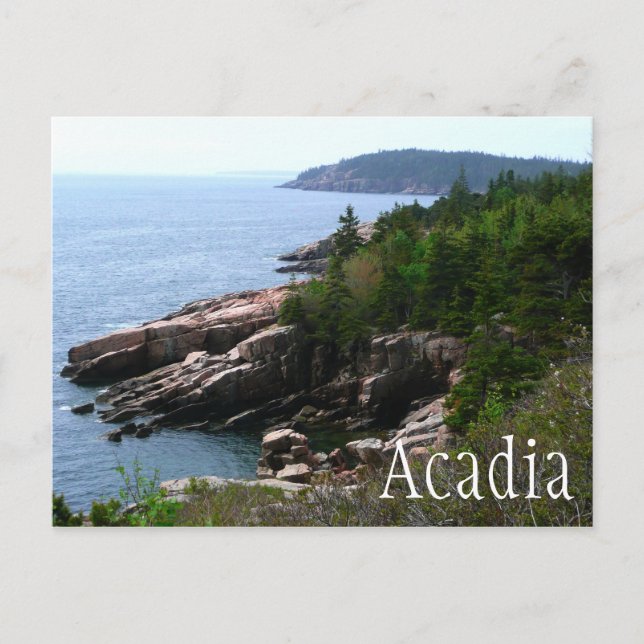 Acadia National Park Shoreline, Maine Postcard (Front)