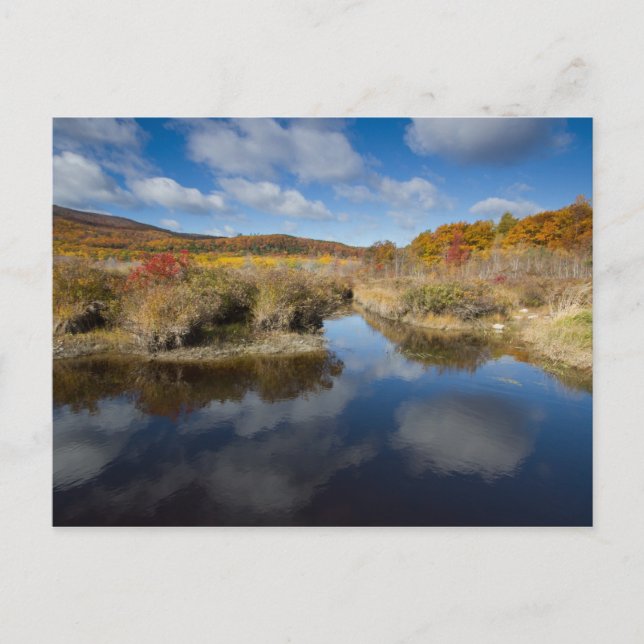 Acadia NP: autumn colours, reflections Postcard (Front)