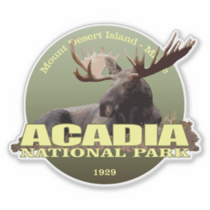 Acadia NP (Moose)