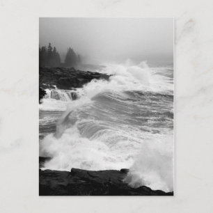 Acadia Surf Postcard - 3