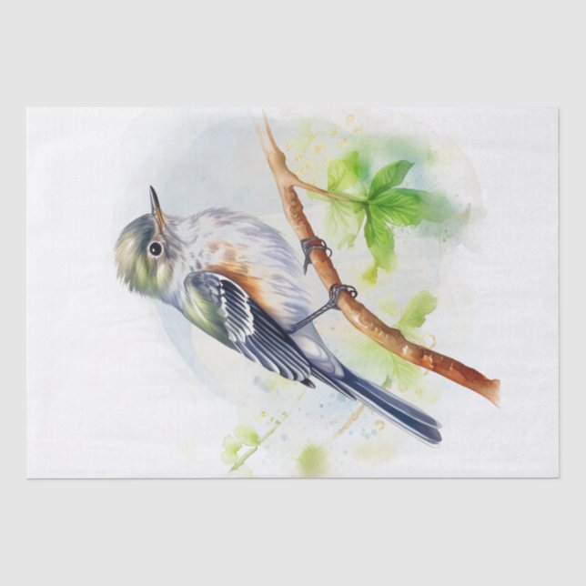 Acadian Flycatcher Bird Tissue Paper (Front)