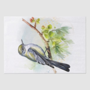 Acadian Flycatcher Bird Tissue Paper