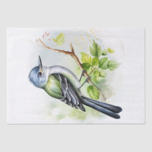 Acadian Flycatcher Bird Tissue Paper