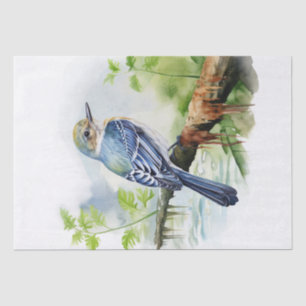 Acadian Flycatcher Bird Tissue Paper