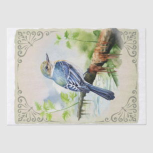 Acadian Flycatcher Bird Tissue Paper