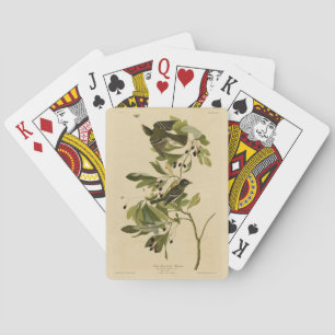 Acadian Flycatcher from Audubon's Birds of America Playing Cards