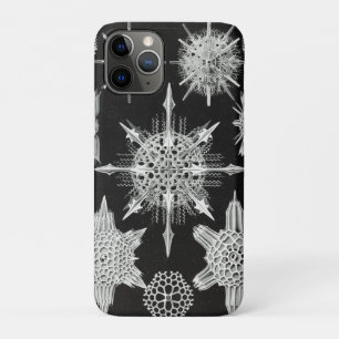 Acanthophracta, Wunderstrahlinge Aquatic Animal iPhone 11 Pro Case