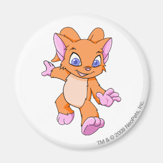 Acara Orange Magnet