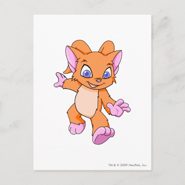 Acara Orange Postcard (Front)
