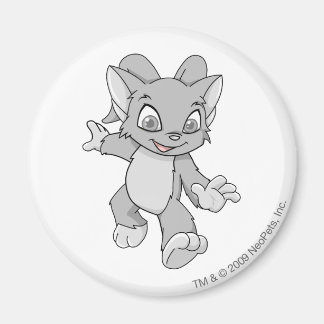 Acara Silver Magnet