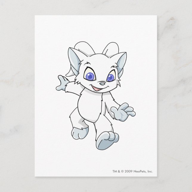 Acara White Postcard (Front)