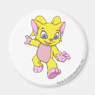 Acara Yellow Magnet