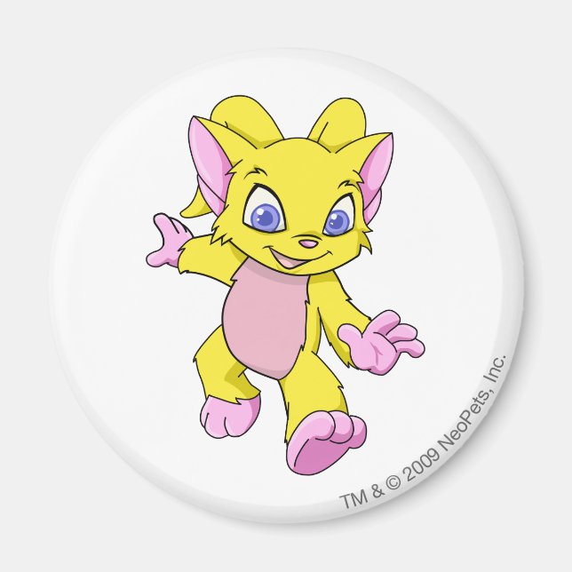 Acara Yellow Magnet (Front)