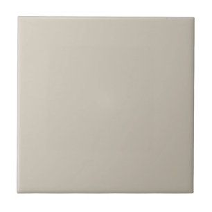 Accessible Beige Solid Colour Tile