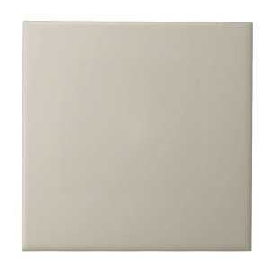 Accessibly Beige Square Kitchen and Bathroom Tile