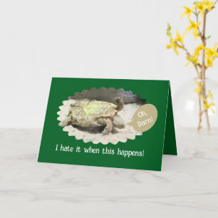 ACCIDENT HIUMOR/TURTLE TURNED FLIPPED ON ITS BACK CARD