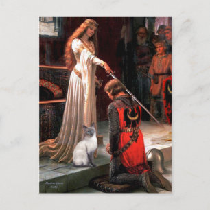 Accolade - Blue Point Siamese cat Postcard