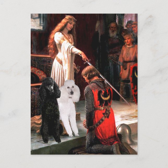 Accolade - Poodle (TWO Standard) Postcard (Front)