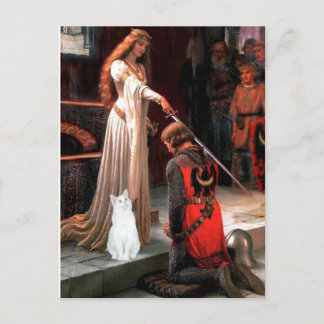 Accolade - White cat Postcard