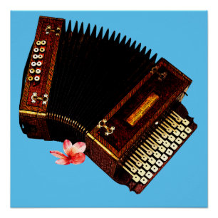 Accordion and Plumeria - Musical Instrument Poster