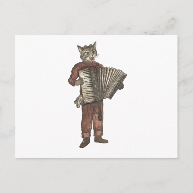 Accordion Cat Postcard (Front)