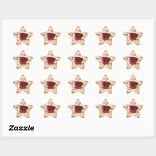 Accordion Music, popular design, Star Sticker