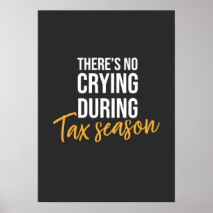 Accountant In Tax Season Poster