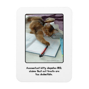 Accountant Kitty Magnet