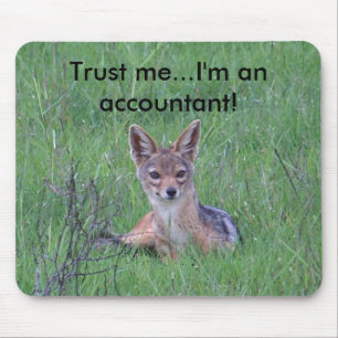 Accountant mousepad