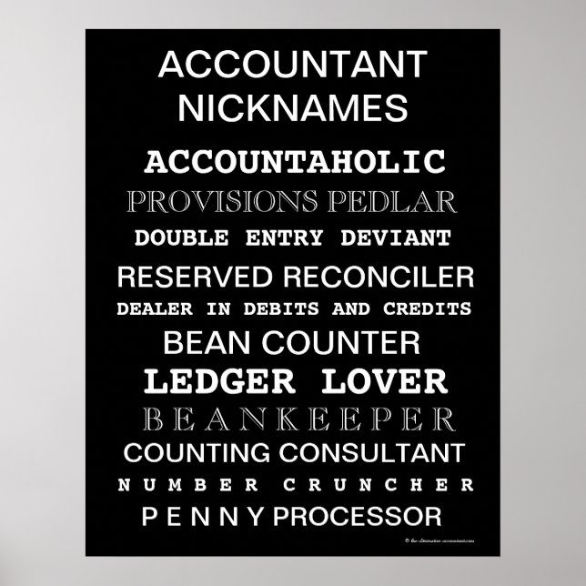 Accountant Nicknames Motivational Poster (Front)